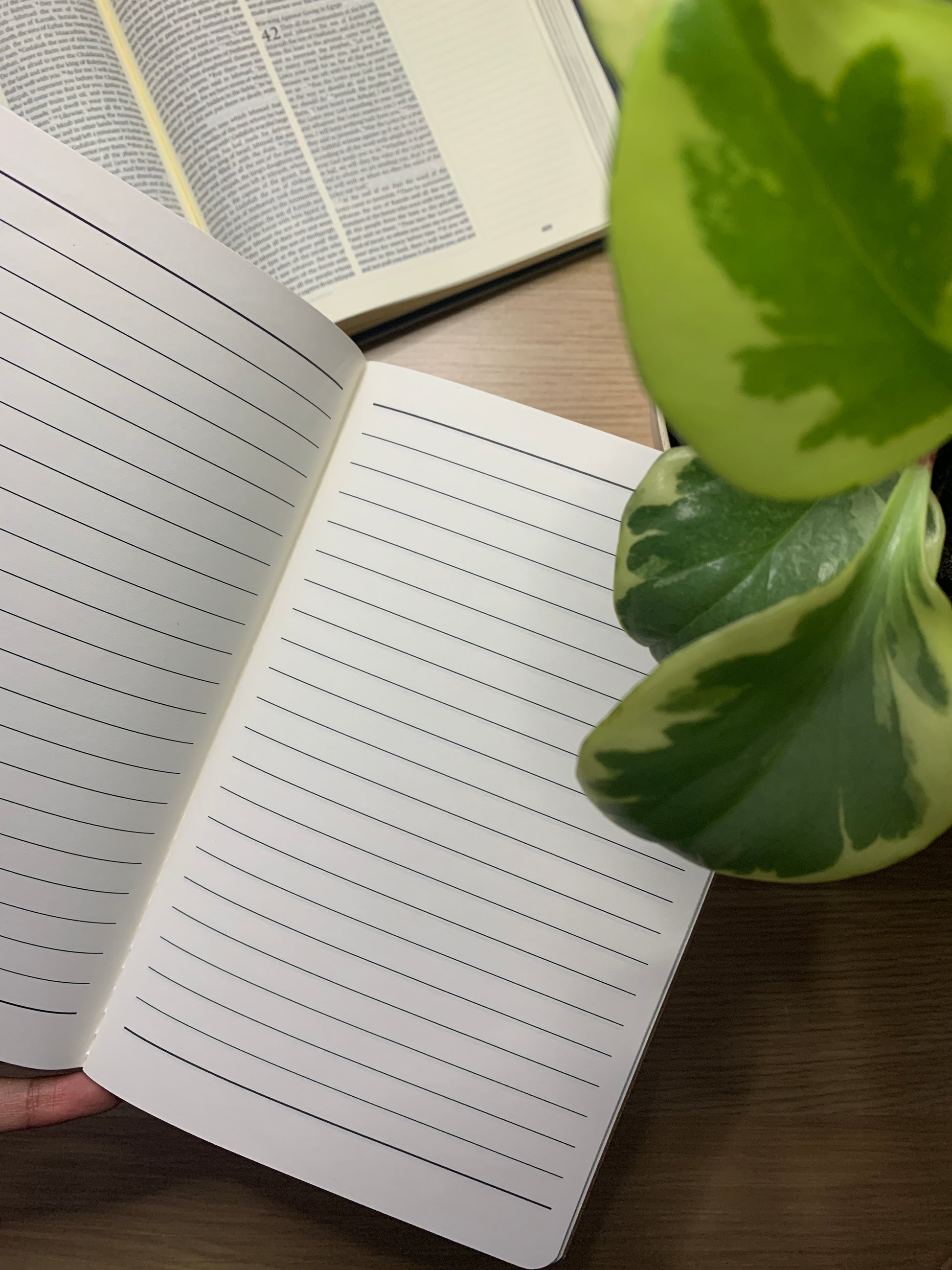 Pour Over Journal image 3