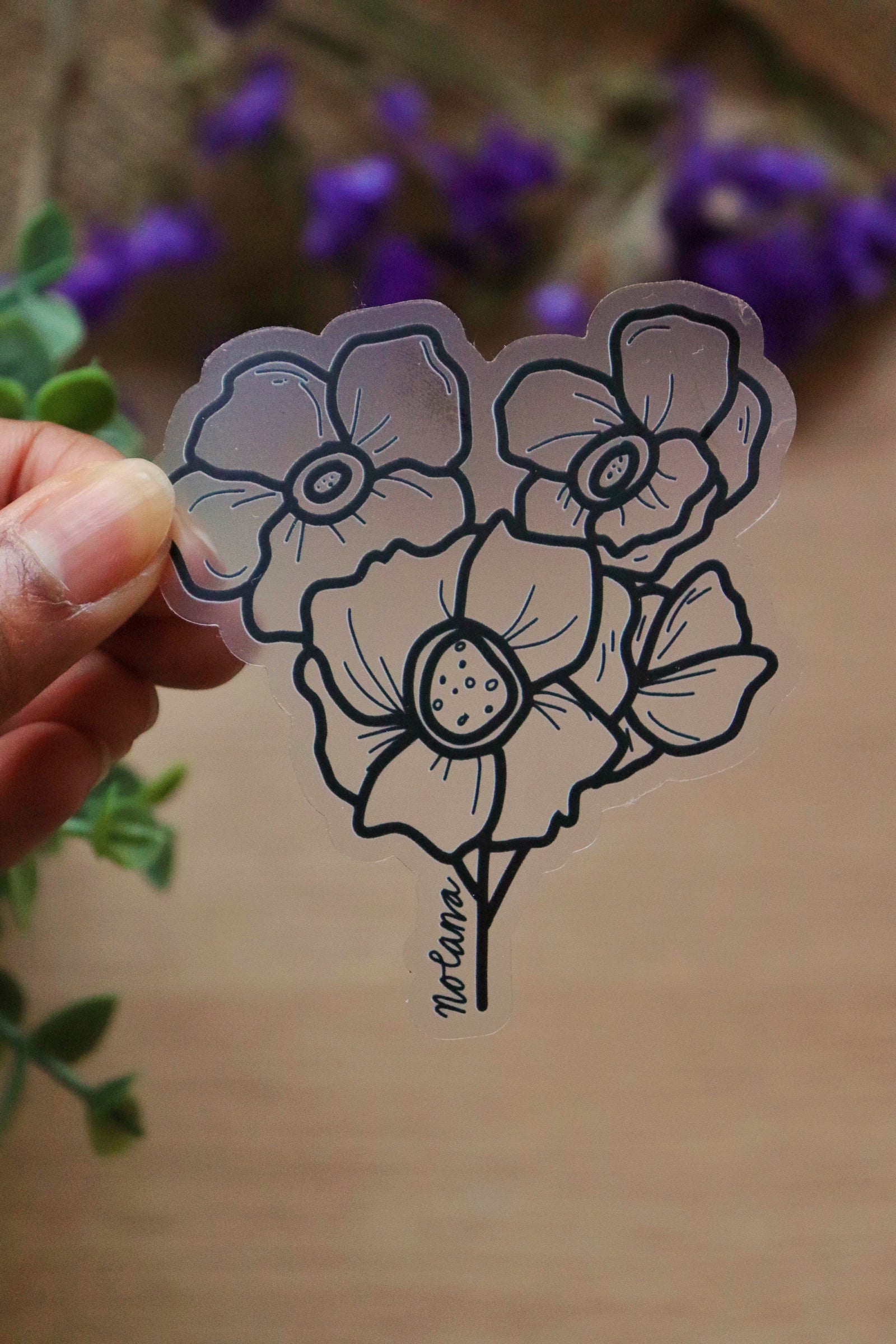 Nolana Sticker image 3