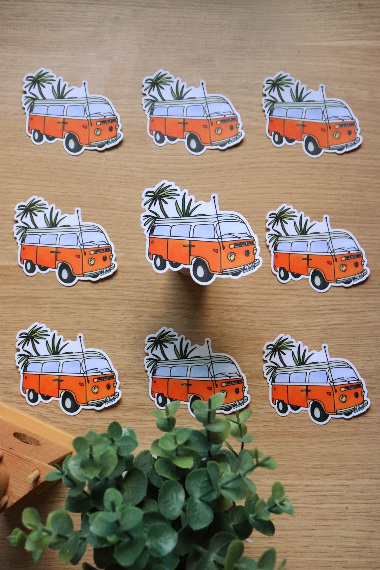 Aloha Clementine image 2