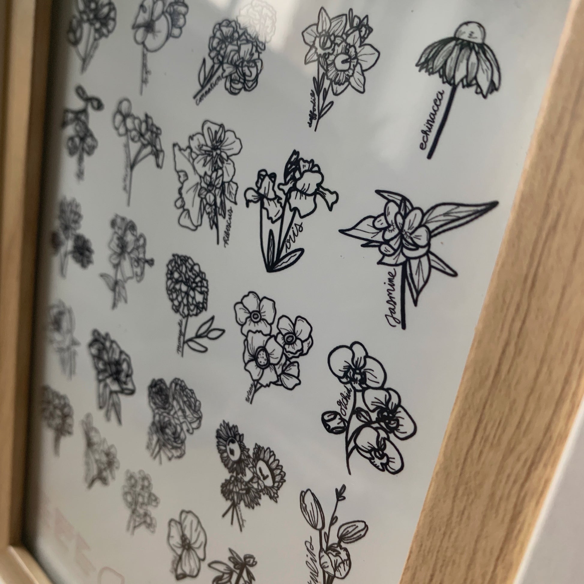 Flowers of the Alphabet Print image 3