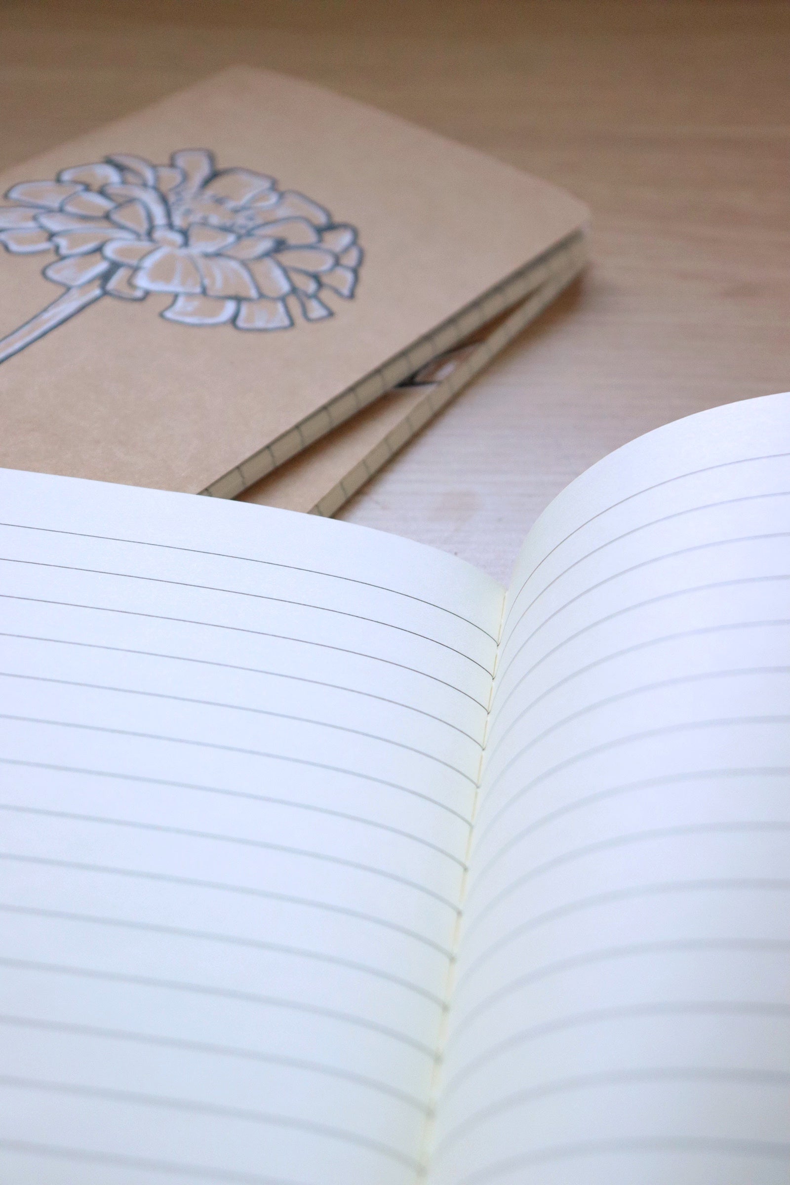 Zinnia Journal image 3